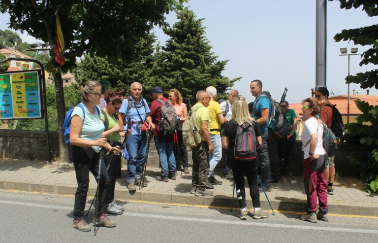 gruppo