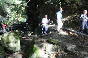 IMG-20241005-WA0070