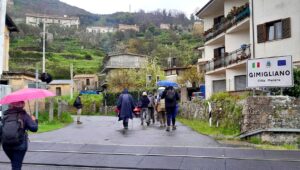 IMG-20250406-WA0026