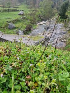 IMG-20250406-WA0137