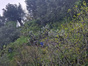 IMG-20250406-WA0145