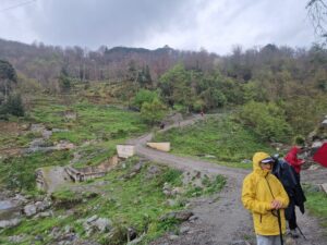IMG-20250406-WA0154