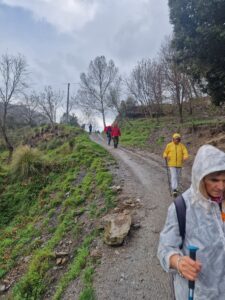 IMG-20250406-WA0156