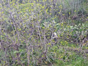 IMG-20250406-WA0160