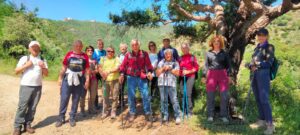 gruppo
