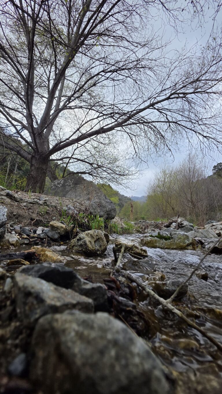 IMG-20260314-WA0071